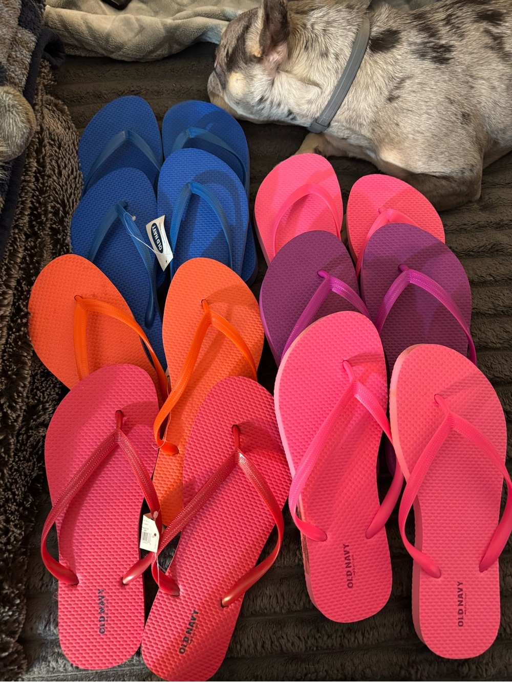 Old Navy Assorted Women's Flip Flop Sandals in Blue, Orange, Pink, Purple